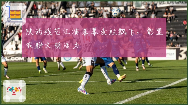 陕西残艺汇演落幕麦粒飘飞，彰显农耕文明活力